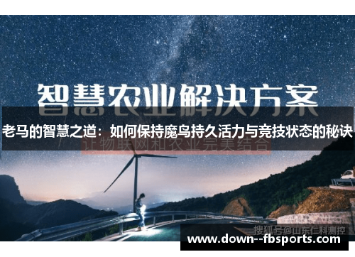 老马的智慧之道：如何保持魔鸟持久活力与竞技状态的秘诀